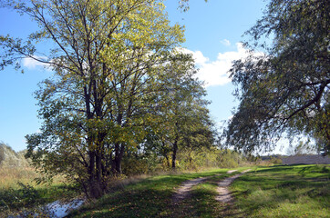 Obraz premium Natural landscape in Kiev Region at autumn