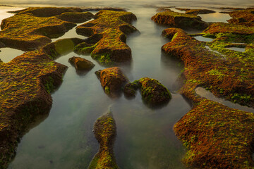 Ocean during low tide. Waterscape. Clear water with stones and rocks. Stones covered by seaweed. Sunset time at the beach. Pure nature. Balangan beach, Bali, Indonesia.