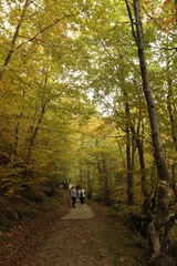 Obraz premium senderistas ruta asturias otoño