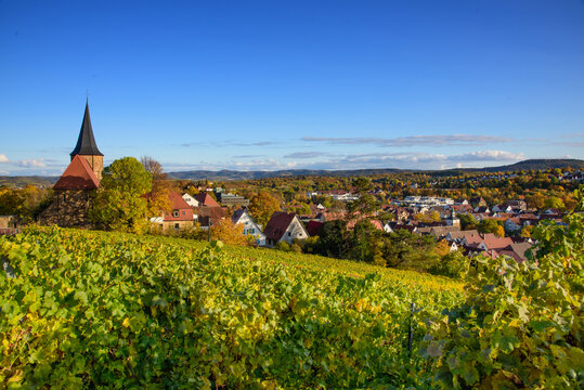 Weinsberg - Stadt der treuen Weiber!
Idyllisch gelegen im Land Heilbronn, umgeben von Weinbergen.

