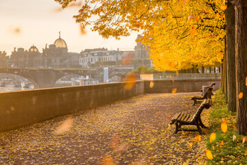 Herbstallee in Dresden mit Kunstakademie im Hintergrund 