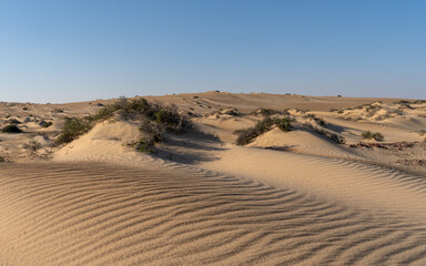 Desert Oman