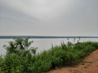 lake water with green trees