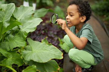 little african american kid boy look at plant using magnifier, want to know about nature...