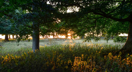 Autumn Vista at Irish Countryside