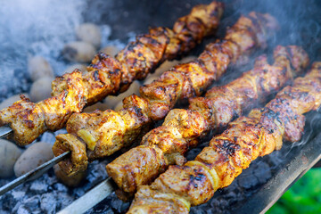 Grilled meat shish kebab on skewers outdoor.