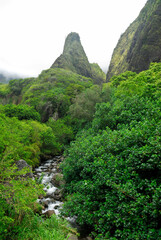 Fototapeta na wymiar The Needle and stream at Iao Valley State Park Maui