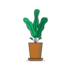 ornamental plant vector design illustration on white background