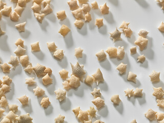 沖縄、竹富島の星砂