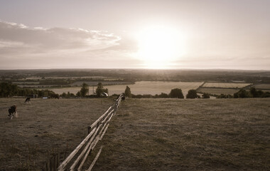 Autumn Vista at Irish Countryside