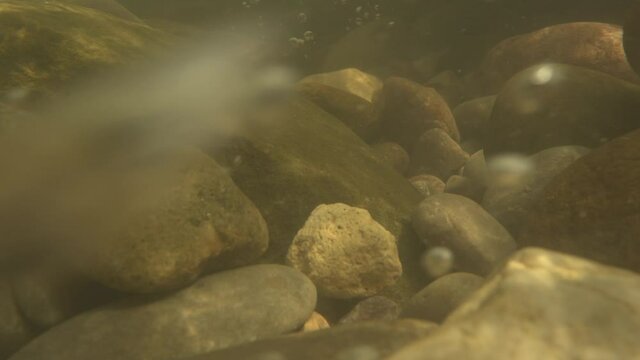 River. Under water shot. Pure crystal clear water and many river rocks. Glacial water. nature shot.