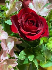 A Single Rose in a Bouquet