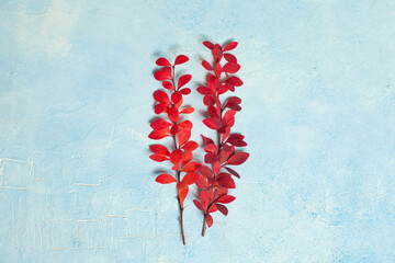Minimal fall background composition with red autumn branches on blue plaster stucco texture