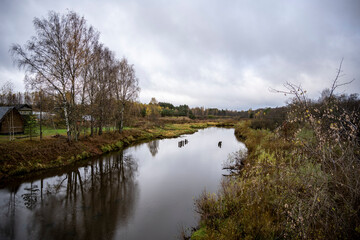 autumn yellow rural landscape with wooden houses and a river