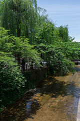 Fototapeta na wymiar 新緑の高瀬川