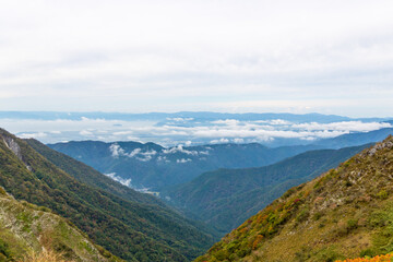 Naklejka premium 伊吹山ドライブウェイ（滋賀県米原市）