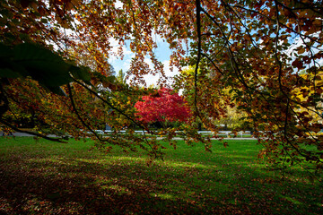 Karlovy Vary autumn