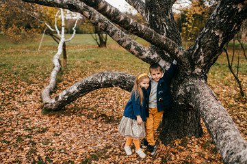 Naklejka na ściany i meble A couple of children posing in autumn park