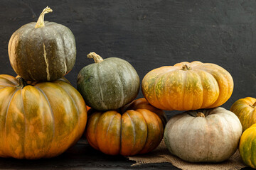 Assortment of different pumpkins on dark wooden background