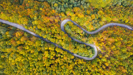 Aerial view of thick forest in autumn with road cutting through.
