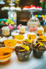 A variety of colored desserts in a glass. Colorful jelly dessert in a glass. Multicolored cream dessert in a glass.