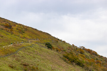 伊吹山ドライブウェイ（滋賀県米原市）
