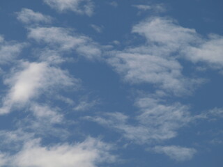 natural beauty of New Zealand Dunedin and Catlin beaches