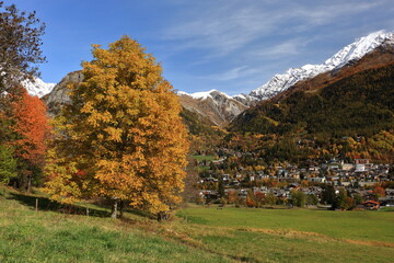 Foliage on the mountains, Alps, Europe with vibrant colors