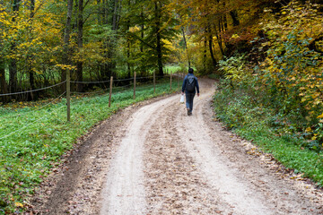 Obraz premium Nebel im Herbst