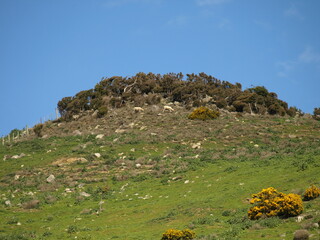 natural beauty of New Zealand Dunedin and Catlin beaches