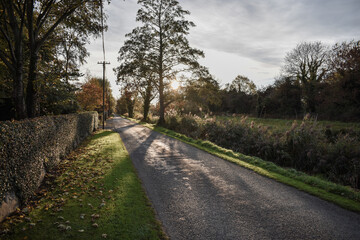 Irish Canal and Road at Sunset