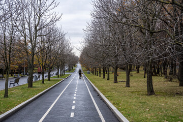 a man walks along an alley with the correct geometry going into the distance in an autumn park with...