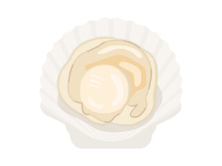 ホタテ貝のイラスト