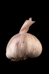 Ajo sobre fondo negro