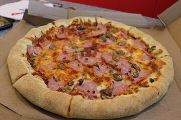 huge pizza with vegetables and mushrooms view