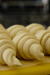 Close-up picture of french delicious croissants on the shelves in bakery. Making of process