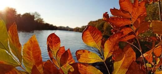 Obraz premium р.Донец