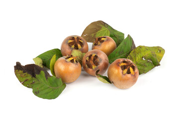 gruppo di nespole detti puciu