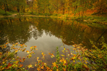 forest lake in warm beautiful autumn. Russian Federation