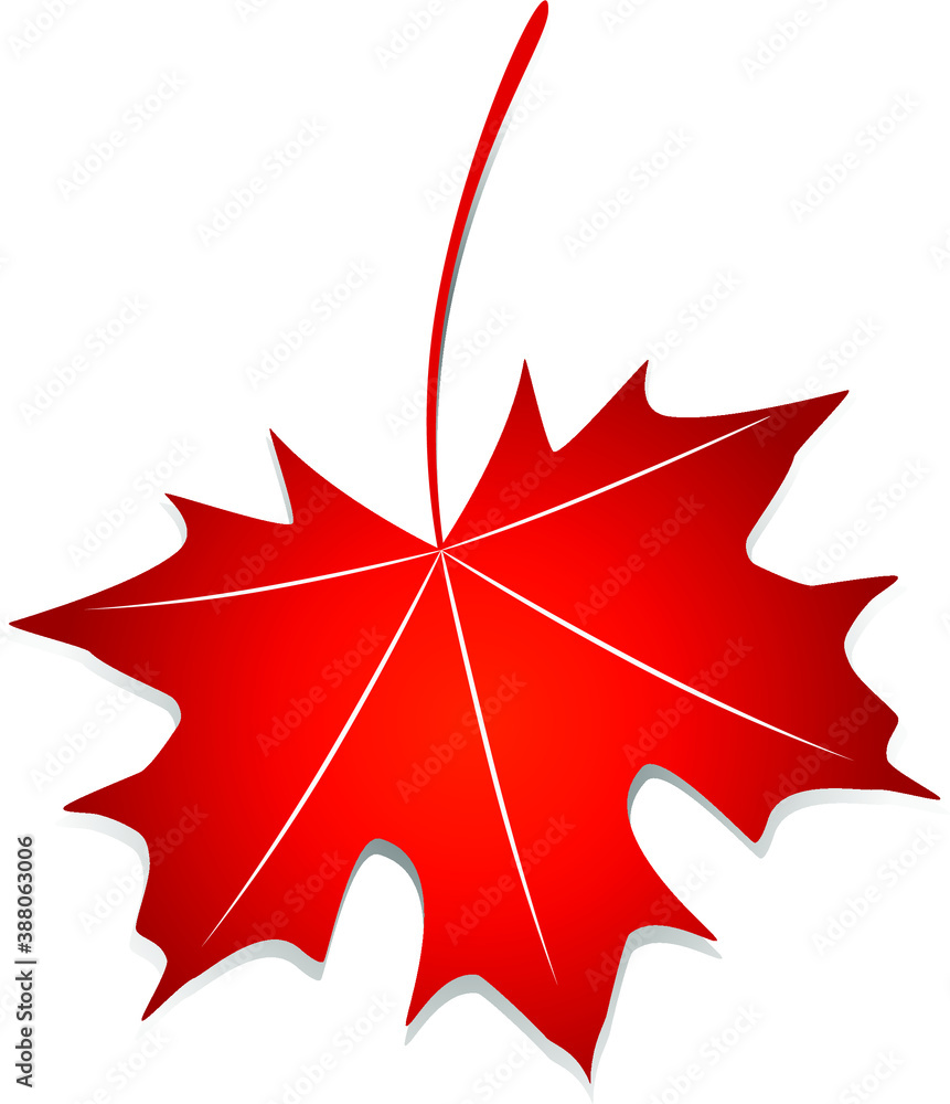 Canvas Prints red maple leaf.