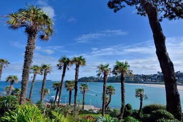 Palm trees over the Trestraou beach at Perros-guirec in Brittany. France