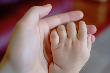 Newborn baby hand in mother's palm.