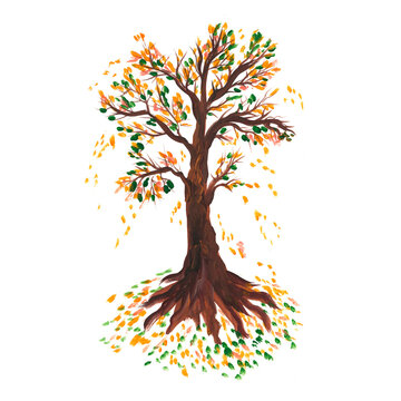 Autumn tree with falling leaves. Watercolor illustration. Isolated over white background.