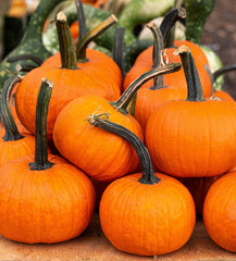 Large pumpkins on display at a local outdoor market