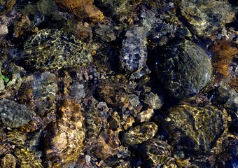 close up of rocks in water