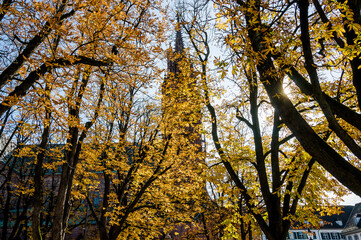 Fototapeta premium Basel, Münster, Münsterplatz, Pfalz, Stadt, Altstadt, Kirche, Grossbasel, Kirchturm, Kreuzgang, Herbst, Herbstlaub, Herbstsonne, Rhein, Basel-Stadt, Schweiz