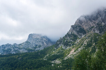 Naklejka premium foggy mountain landscape - wooded rocks hiding in the clouds