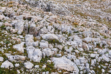 landscape - a weathering structure in a mountainous area called limestone pavement