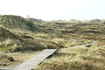 Naklejka premium Wooden blanks path, Isle of Amrum, North Frisian islands, Schleswig-Holstein, Germany