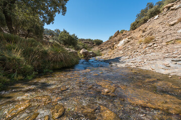 Water flowing down a ravine in the Sierra Nevada
